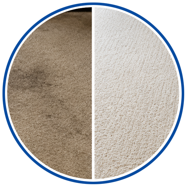 Carpet before and after cleaning in a residential home in Delaware